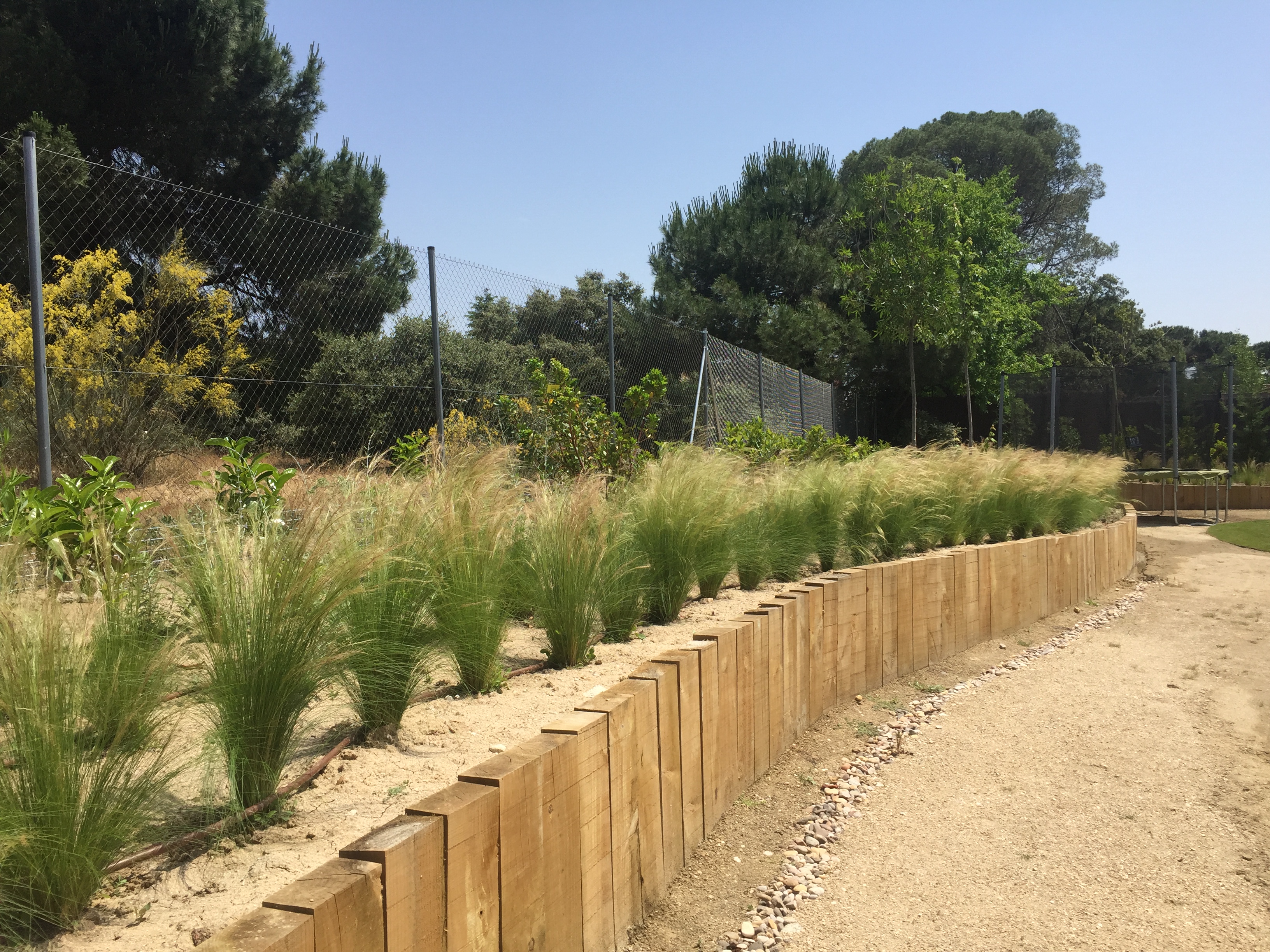 Jardín de cespitosas - Diseño de jardín por Peonia Jardines en Madrid, vista 3
