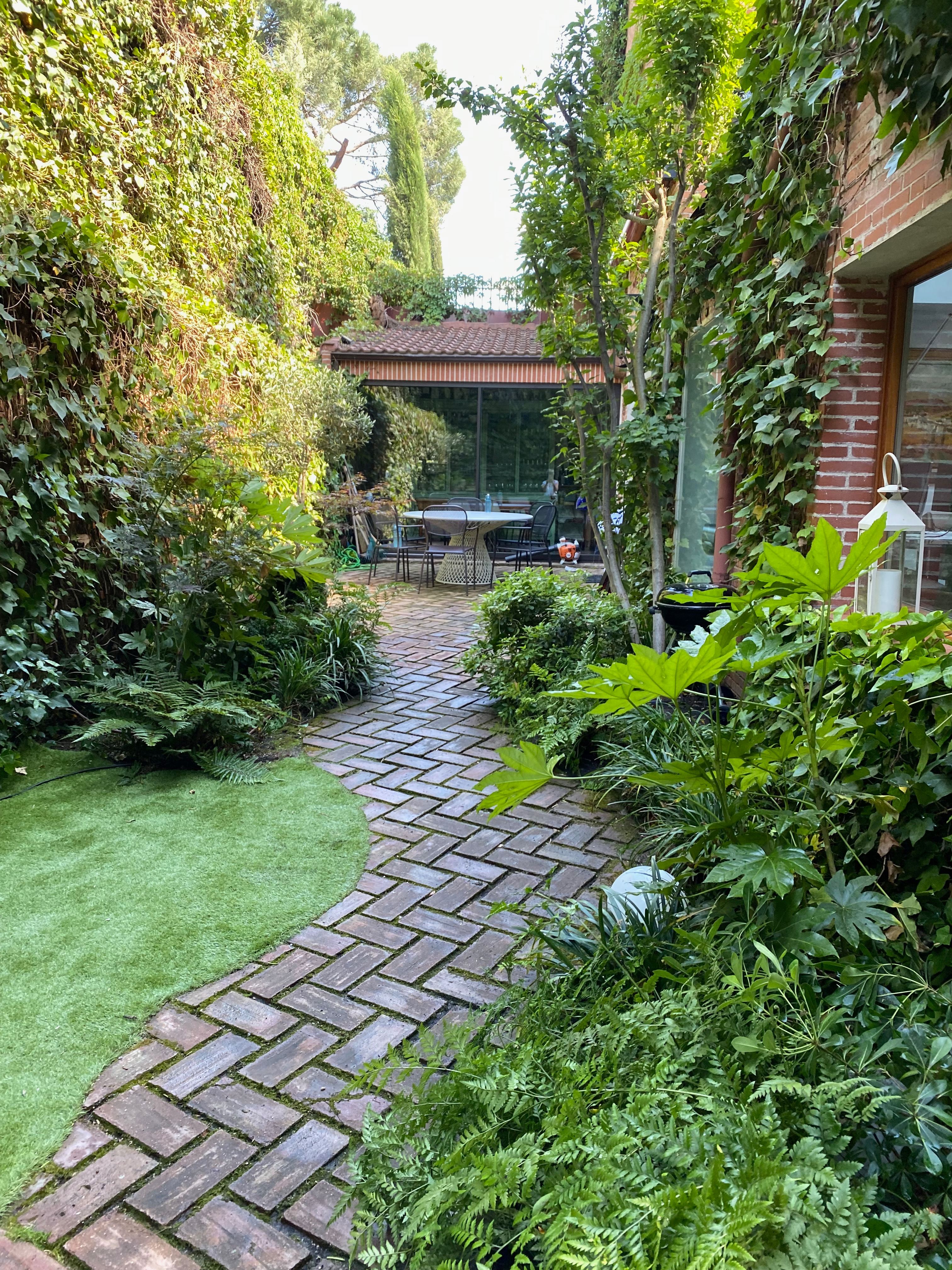Patio urbano - Diseño de jardín por Peonia Jardines en Madrid, vista 5