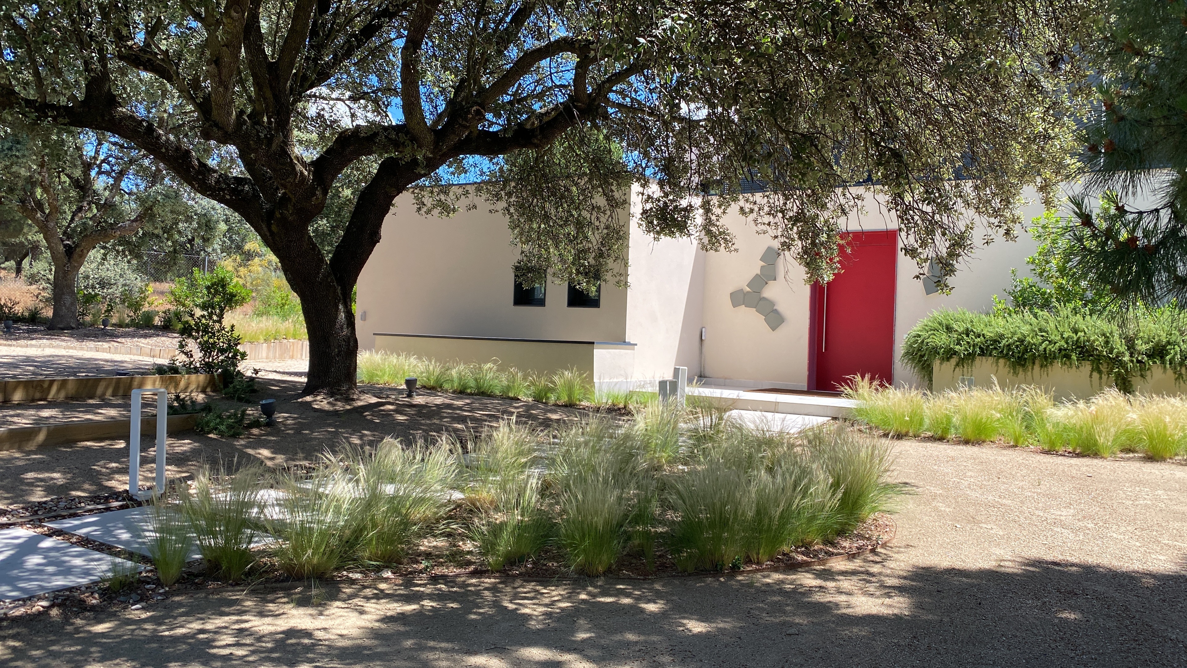 Jardín de cespitosas - imagen 8