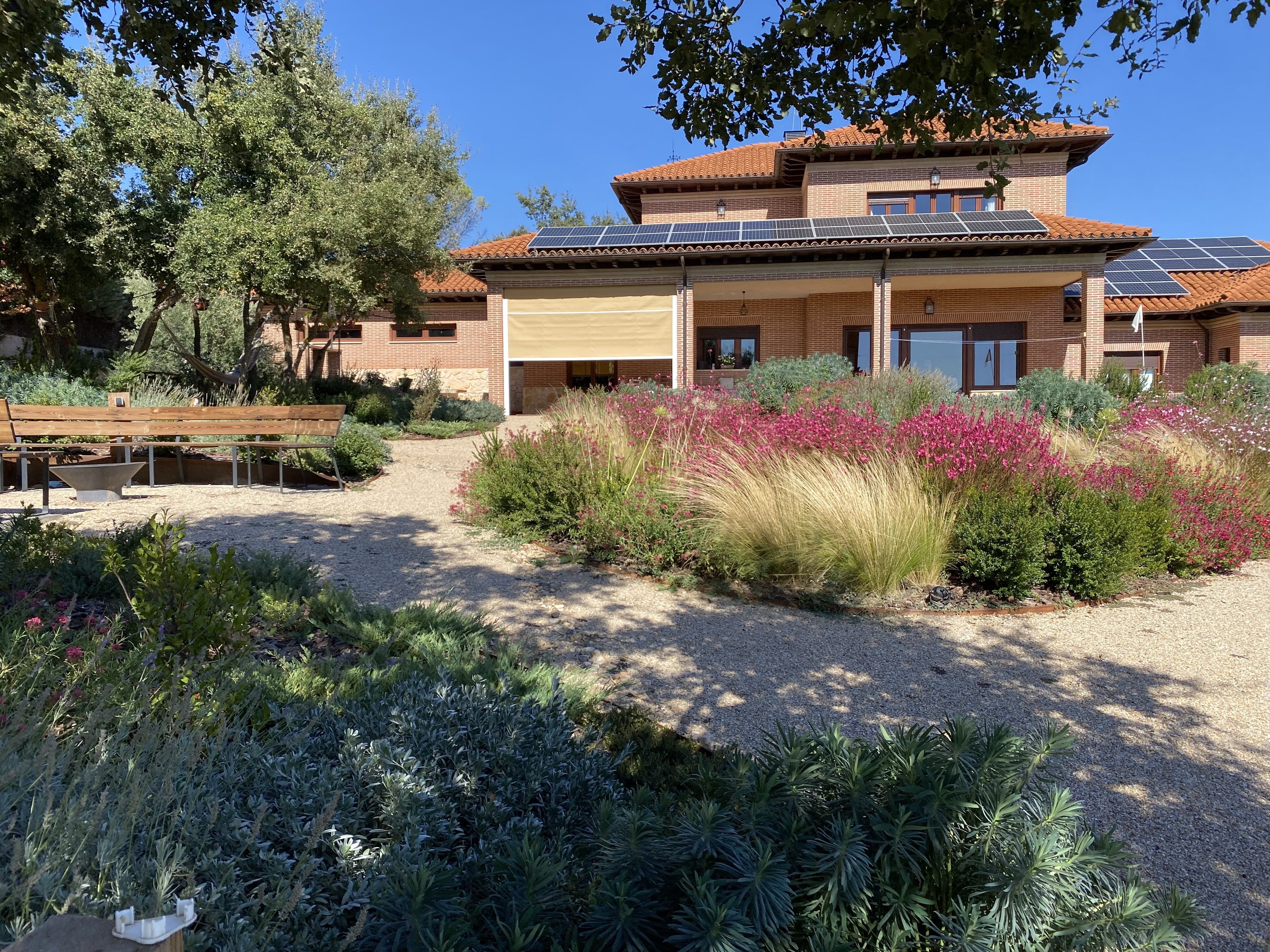 Jardín colorido - imagen 5