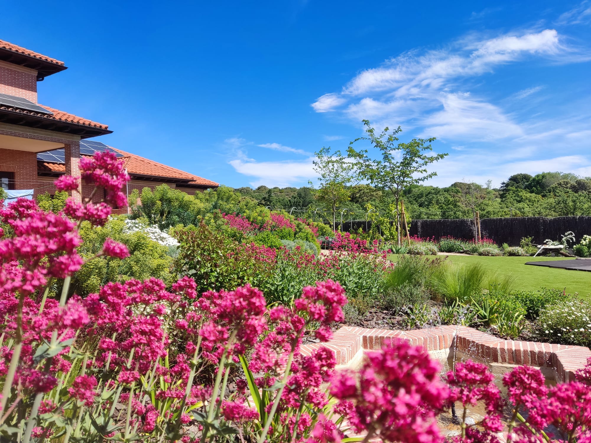 Jardín colorido - imagen 9