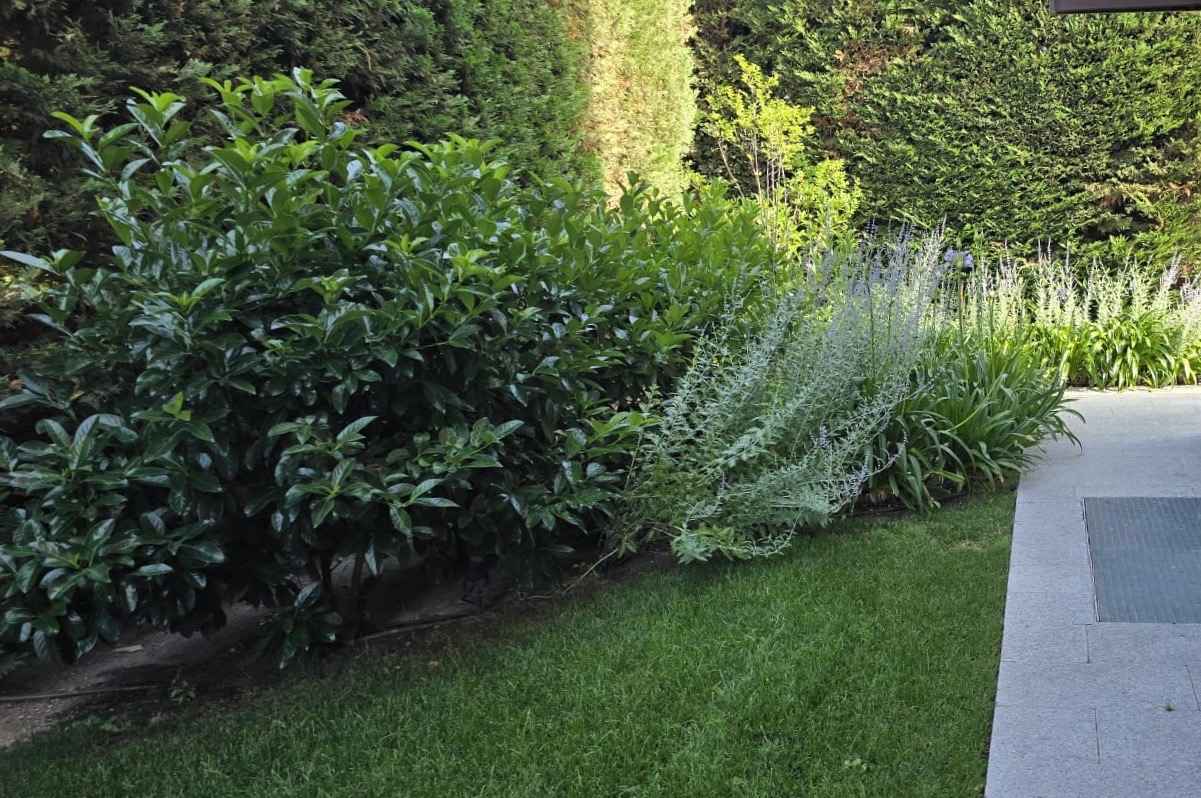 Jardín escalonado - imagen 3