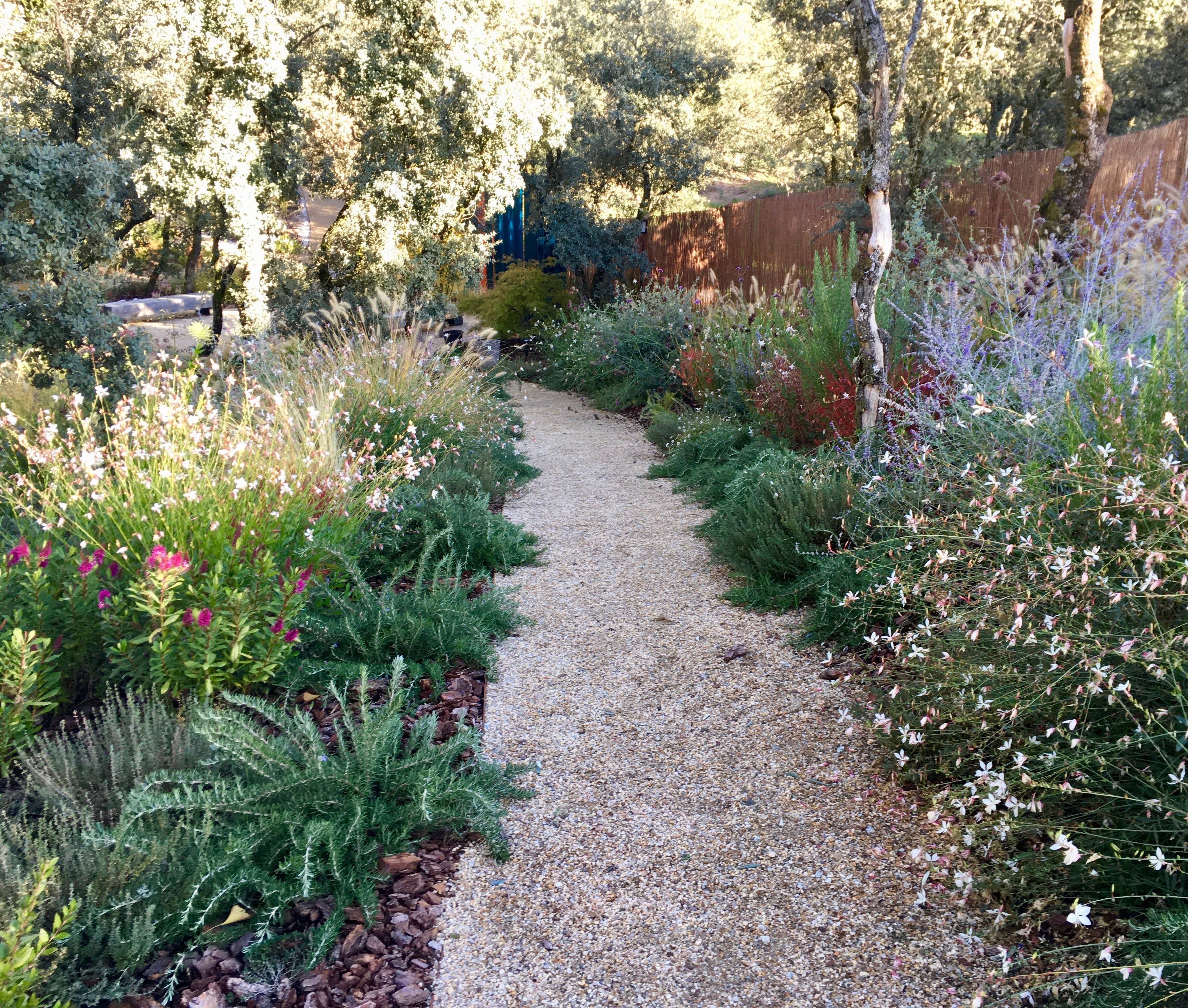 Proyecto Jardín frondoso - Este jardín resalta las encinas manteniendo muy poco césped y utilizando plantas autóctonas que comp