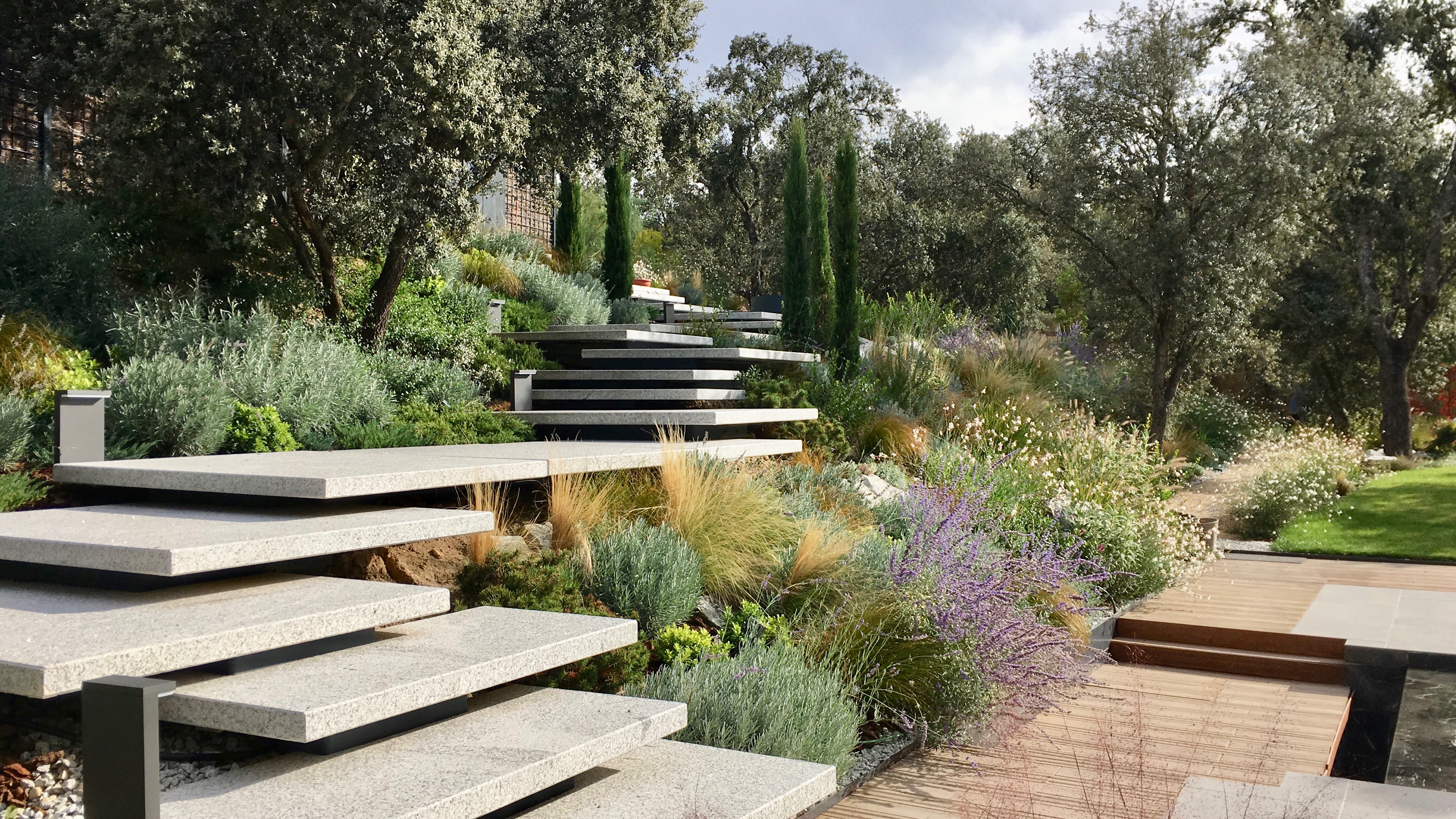 Jardín frondoso - imagen 2