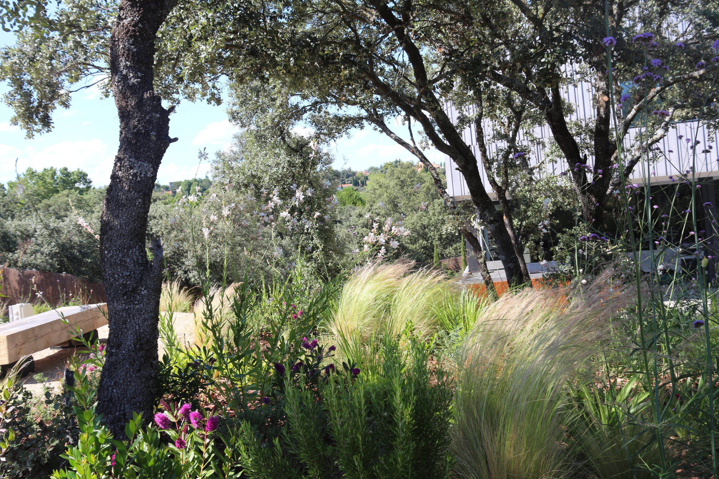 Jardín frondoso - imagen 3