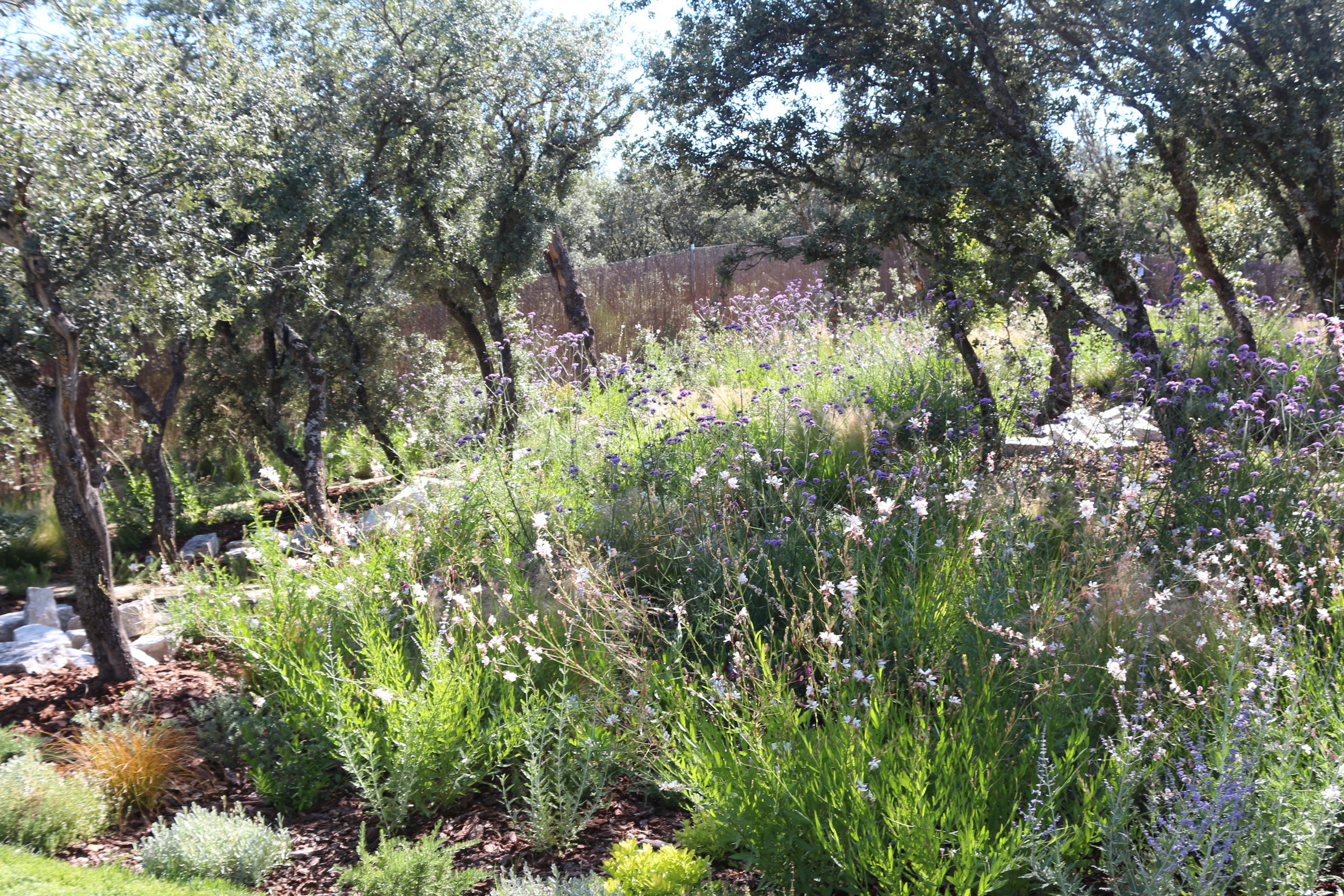 Jardín frondoso - imagen 9