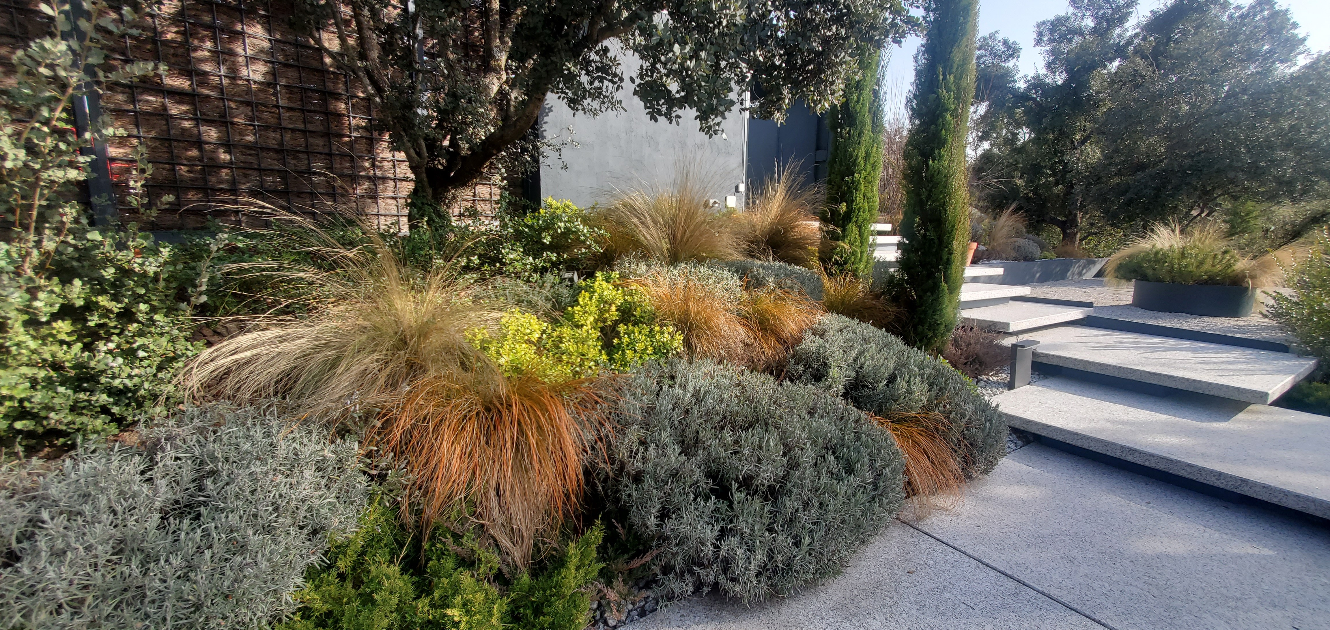 Jardín frondoso - imagen 6