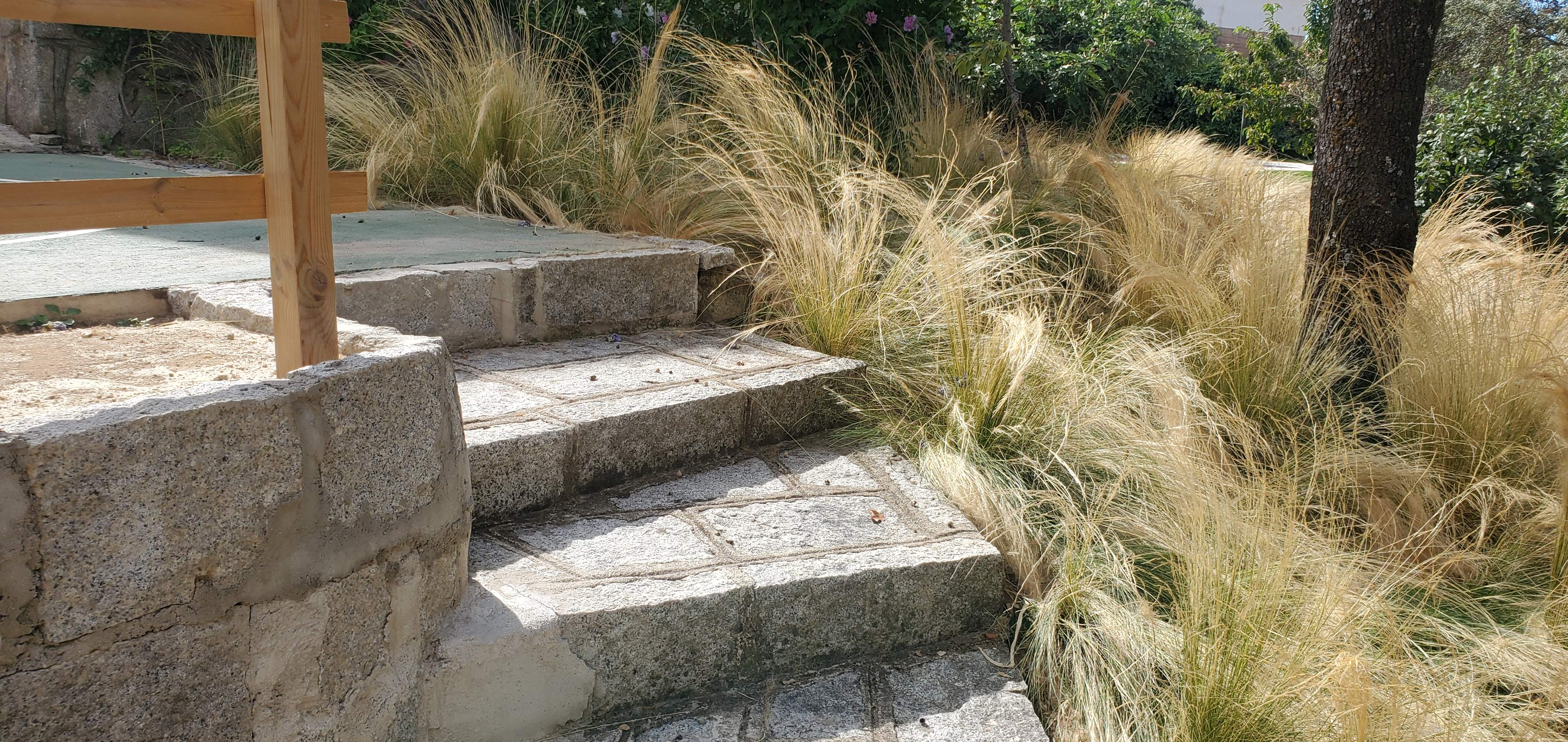 Jardín en la sierra - imagen 5